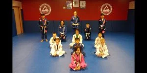 Premier Jiu-Jitsu Academy - Glenview academy photo