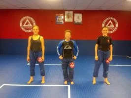 Premier Jiu-Jitsu Academy - Glenview academy photo