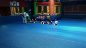 Premier Jiu-Jitsu Academy - Glenview academy photo