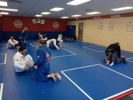 Premier Jiu-Jitsu Academy - Glenview academy photo