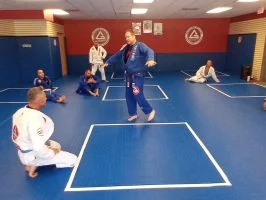 Premier Jiu-Jitsu Academy - Glenview academy photo
