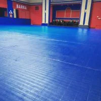 Premier Jiu-Jitsu Academy - Glenview academy photo