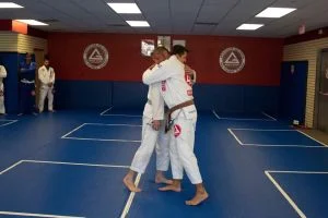 Premier Jiu-Jitsu Academy - Glenview academy photo