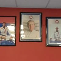 Premier Jiu-Jitsu Academy - Glenview academy photo
