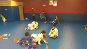 Premier Jiu-Jitsu Academy - Glenview academy photo
