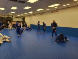 Premier Jiu-Jitsu Academy - Glenview academy photo