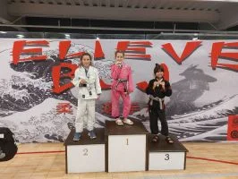 Premier Jiu-Jitsu Academy - Glenview academy photo