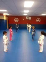 Premier Jiu-Jitsu Academy - Glenview academy photo