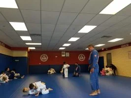 Premier Jiu-Jitsu Academy - Glenview academy photo