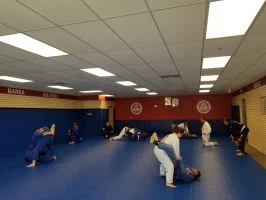 Premier Jiu-Jitsu Academy - Glenview academy photo