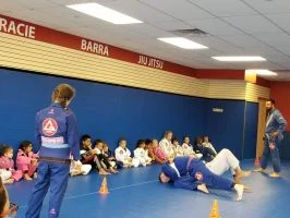 Premier Jiu-Jitsu Academy - Glenview academy photo