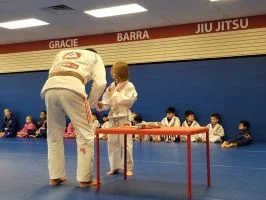 Premier Jiu-Jitsu Academy - Glenview academy photo