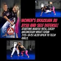 Premier Jiu-Jitsu Academy - Glenview academy photo