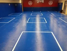 Premier Jiu-Jitsu Academy - Glenview academy photo