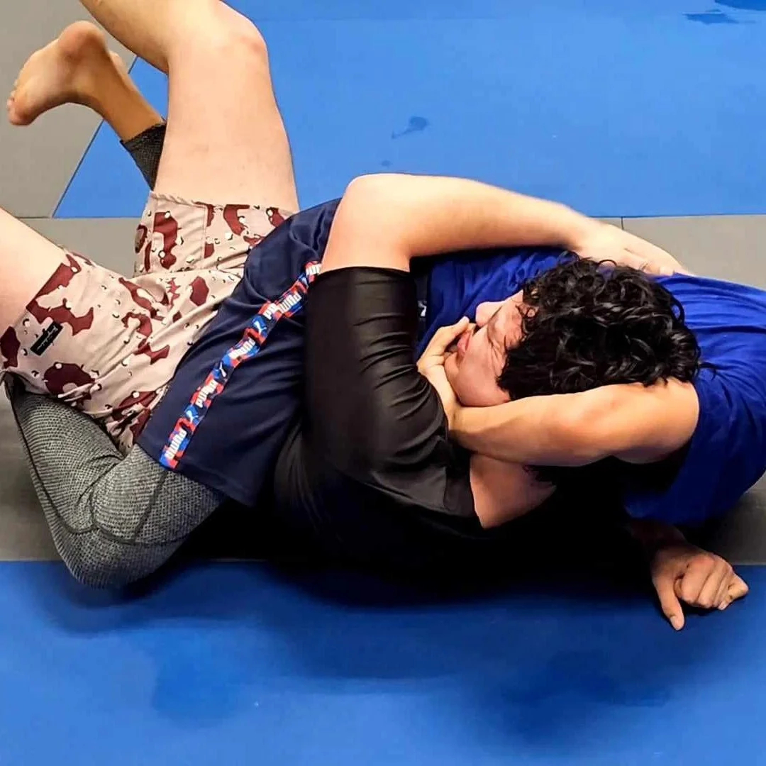 Sal's BJJ visual