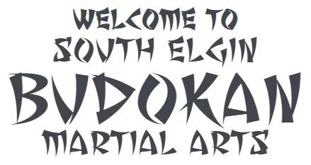 South Elgin Budokan Martial Arts academy logo