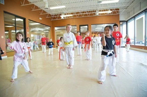 Strive Martial Arts facility image