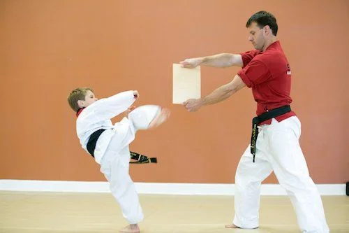 Strive Martial Arts facility image