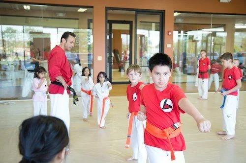 Strive Martial Arts facility image