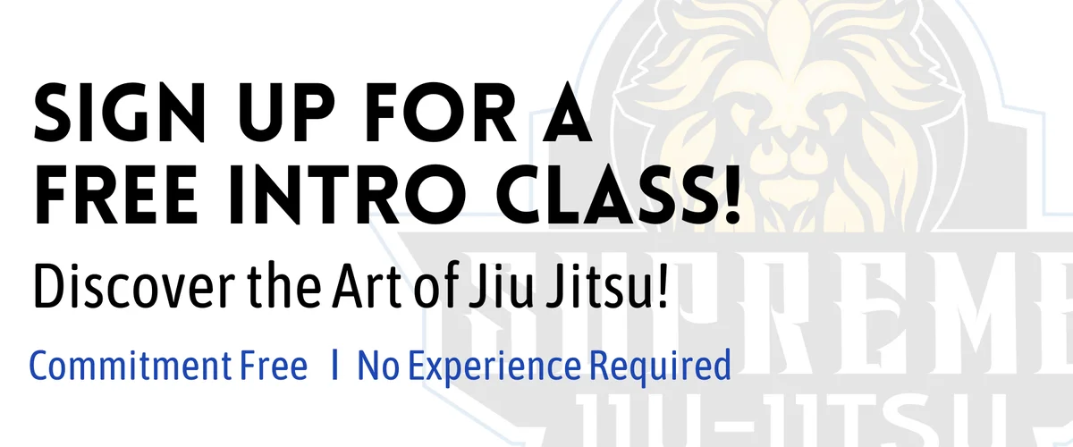 SUPREME JIU JITSU Chicago Lincoln Park facility image