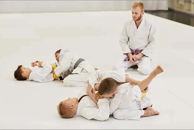 Threshold Martial Arts LLC academy photo