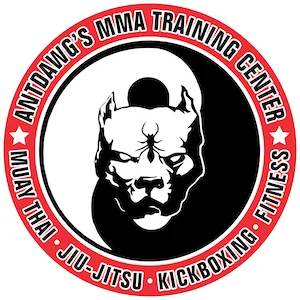 TNT MMA Training Center academy logo