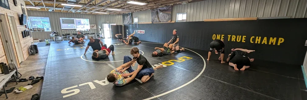 Trifinity Brazilian Jiu-Jitsu facility image