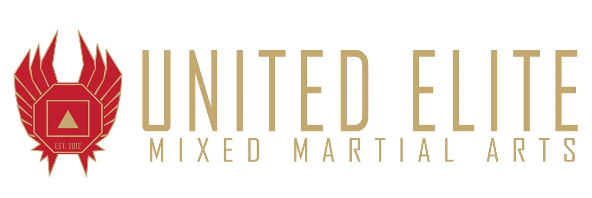 United Elite Mixed Martial Arts and Fitness academy photo