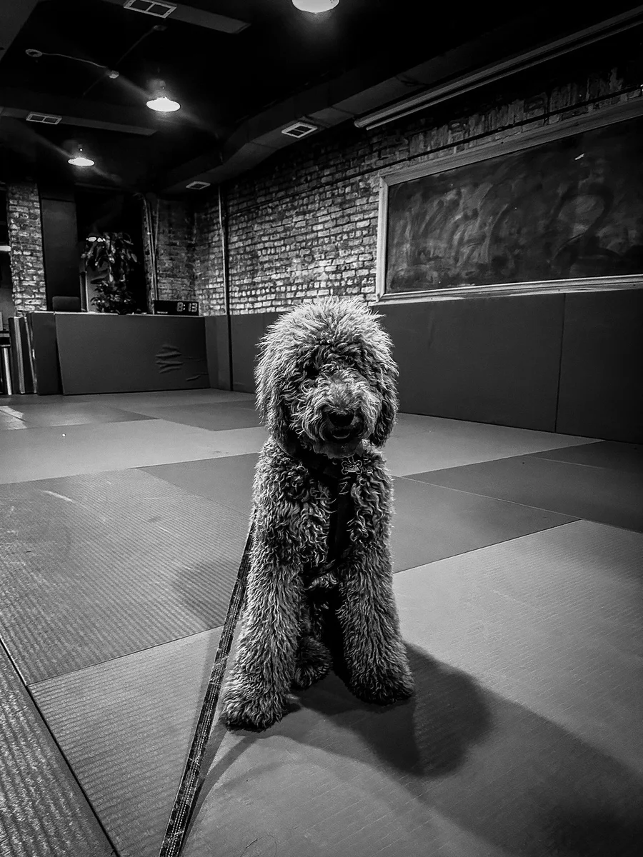 Valko Jiu Jitsu Studio facility image
