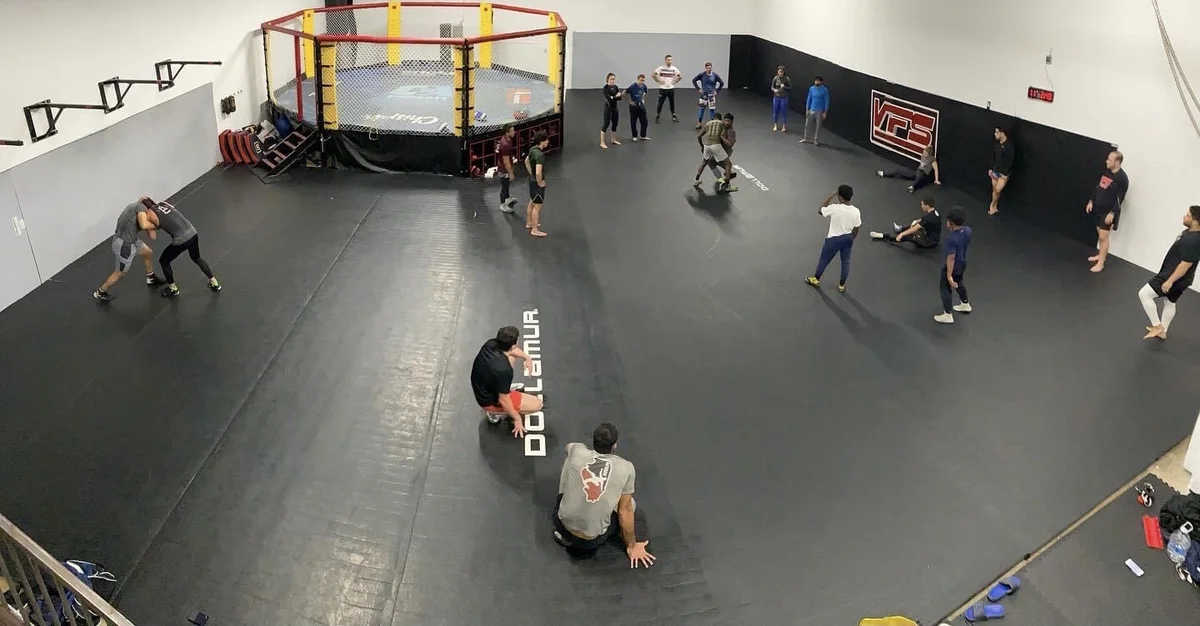 VFS Academy (Valle Flow Striking) academy logo