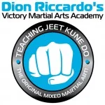 Victory Martial Arts Academies academy logo