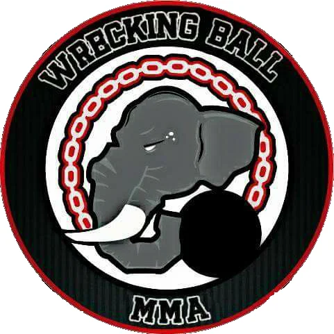 Wrecking Ball MMA facility image