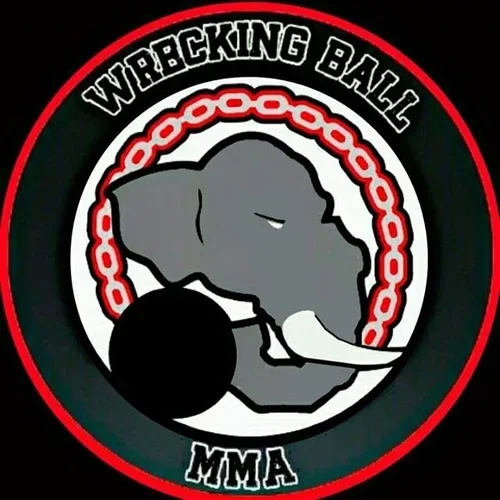 Wrecking Ball MMA facility image