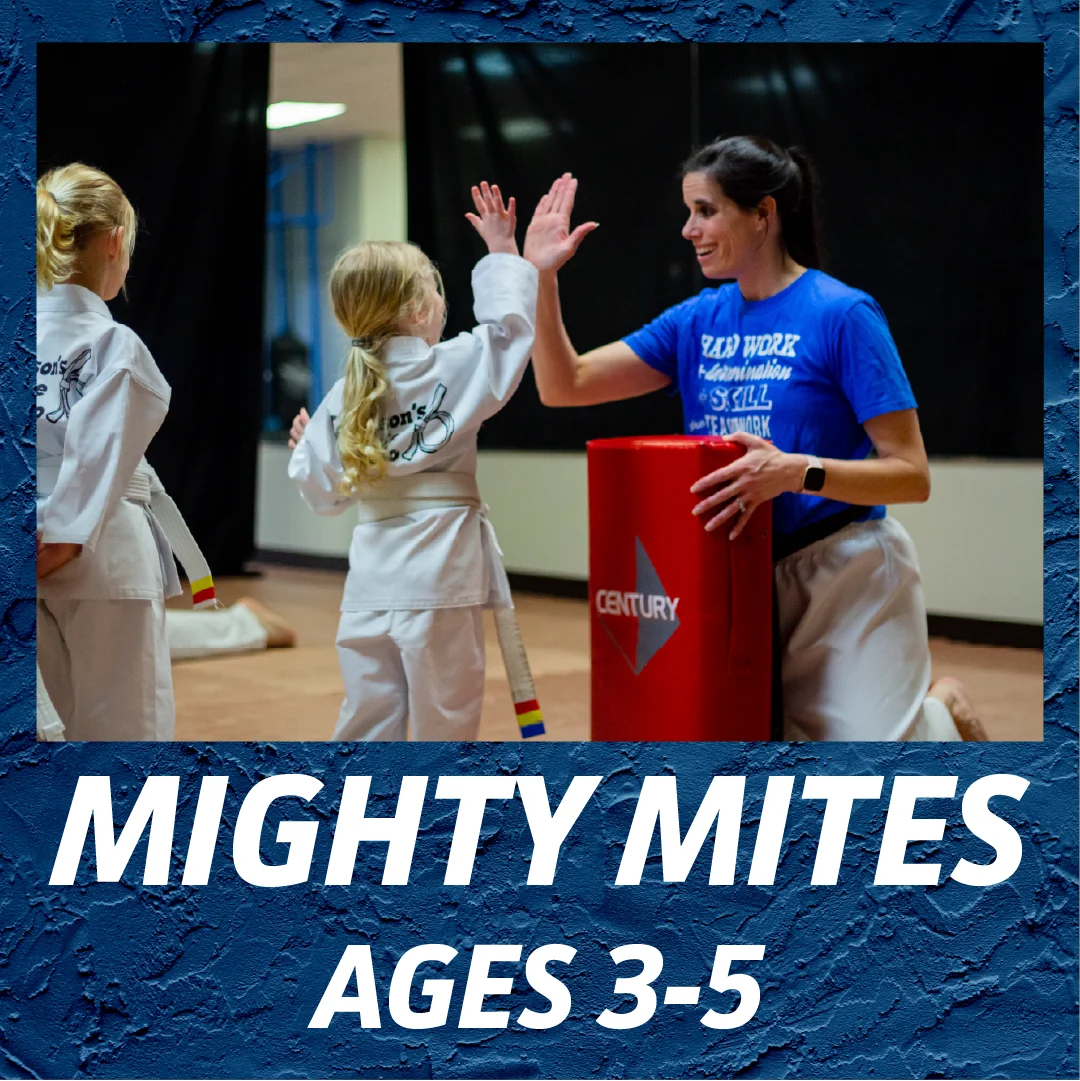 Adamson's Karate Studios facility image