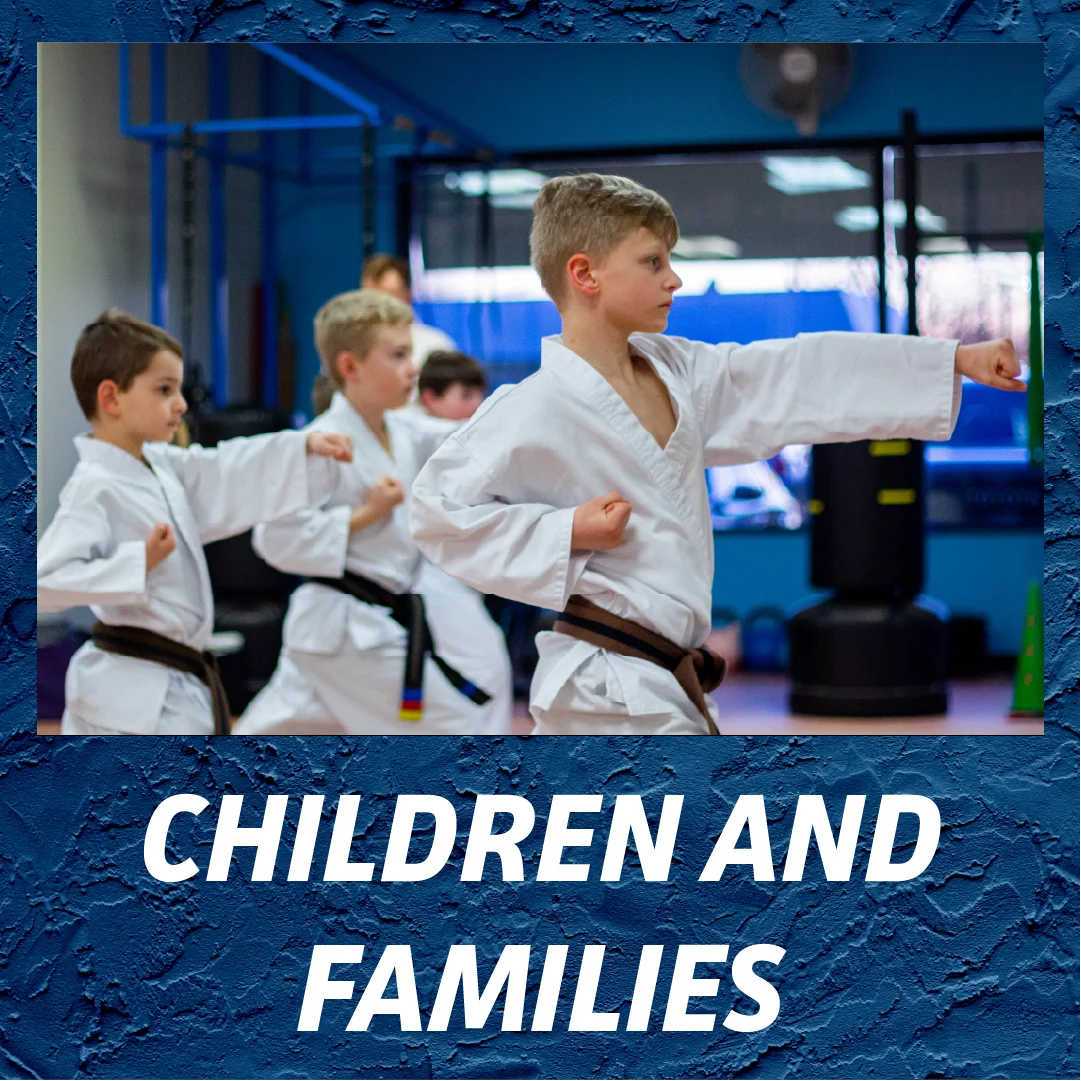 Adamson's Karate Studios facility image