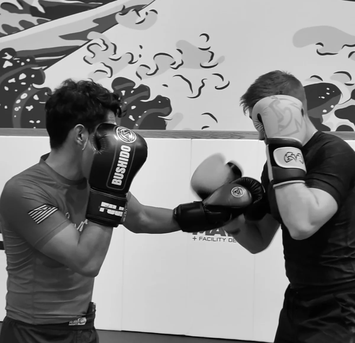 BUSHIDO ZIONSVILLE facility image
