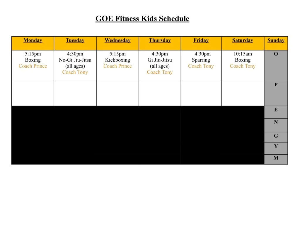 GOE Fitness academy photo