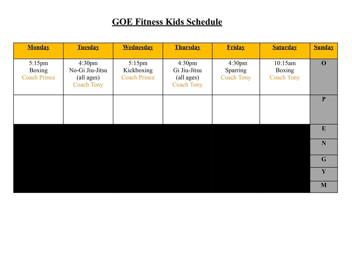 GOE Fitness academy photo