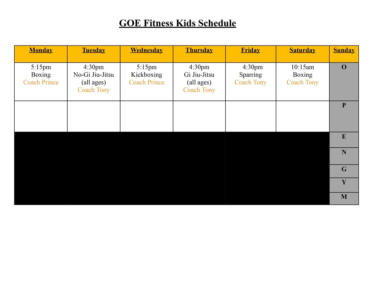 GOE Fitness academy photo