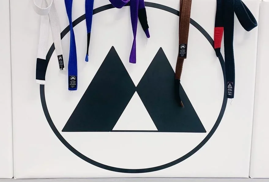 Gracie Jiu-Jitsu South Bend facility image