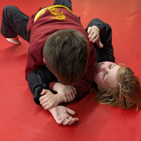 Indiana Brazilian Jiu Jitsu Academy facility image