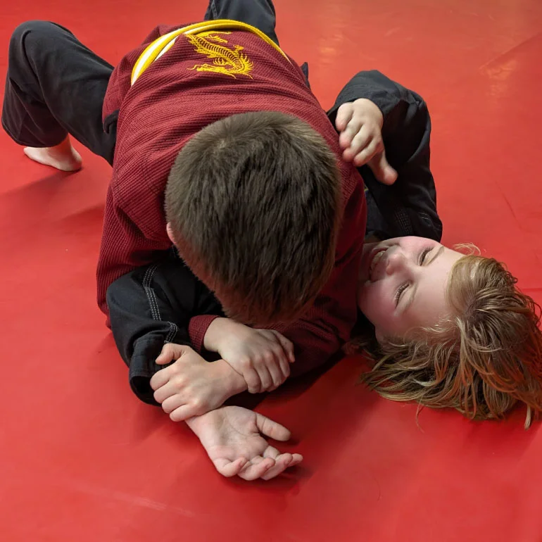 Indiana Brazilian Jiu Jitsu Academy facility image