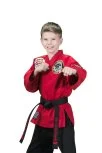 Lewis Martial Arts facility image