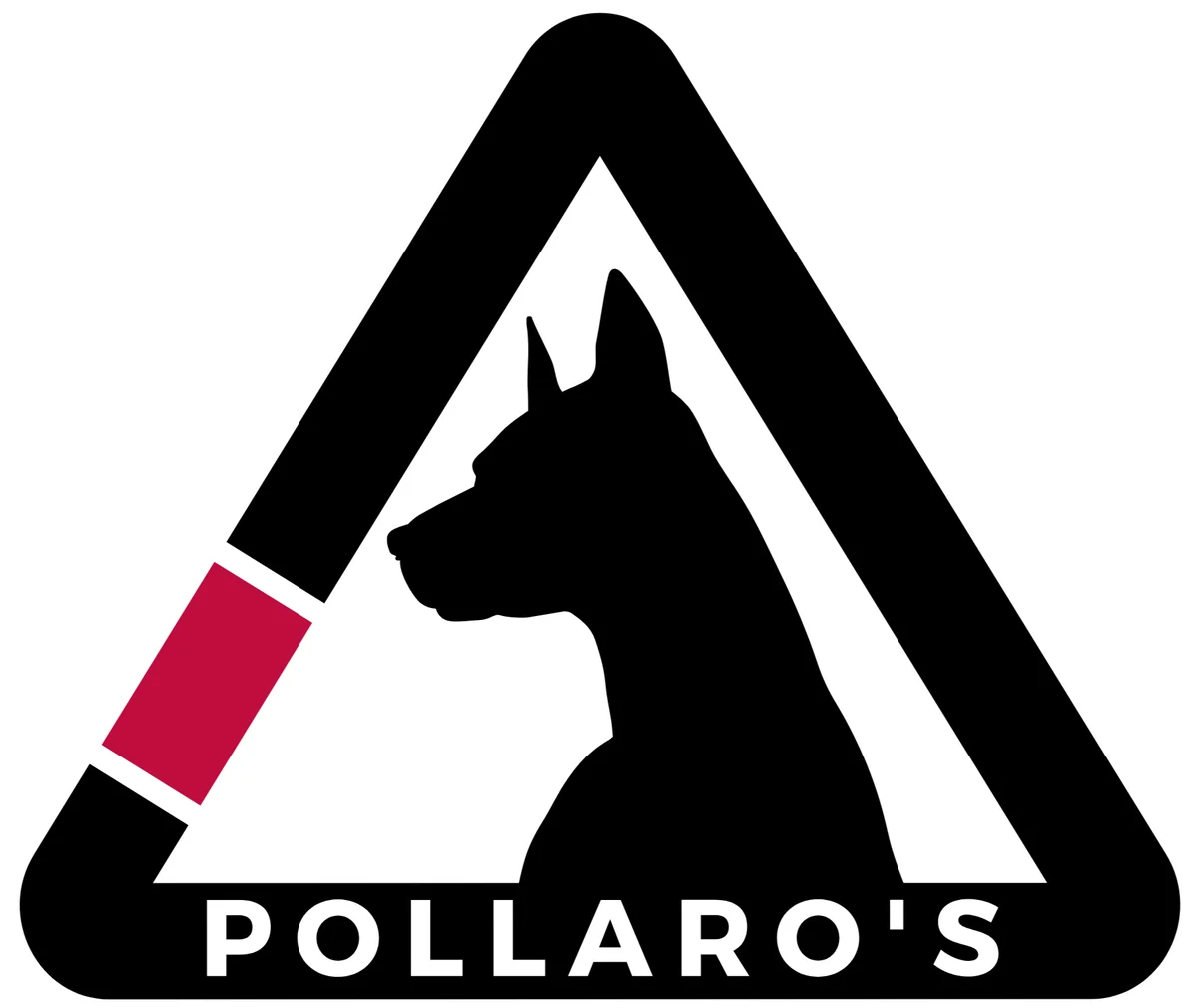 Pollaro’s Martial Arts academy photo