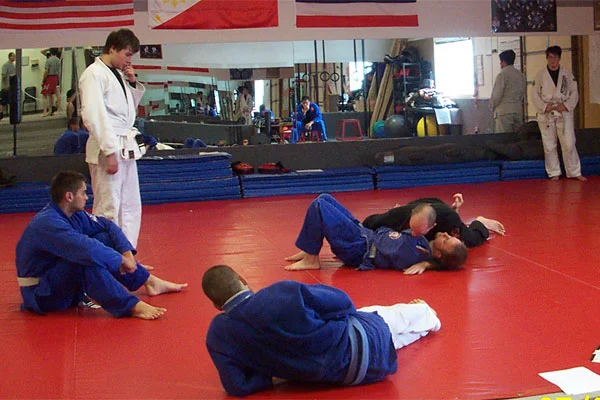Rising Phoenix Martial Arts Academy facility image