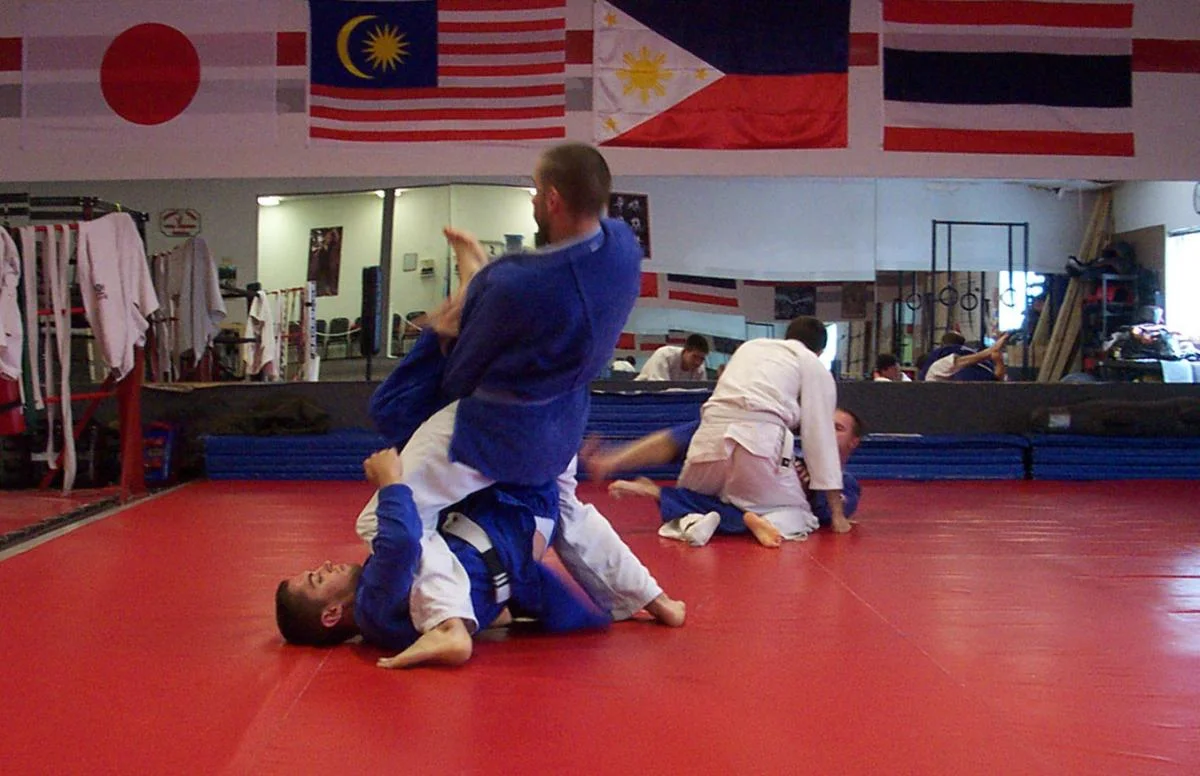 Rising Phoenix Martial Arts Academy facility image