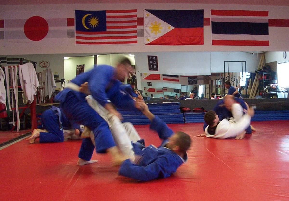Rising Phoenix Martial Arts Academy facility image