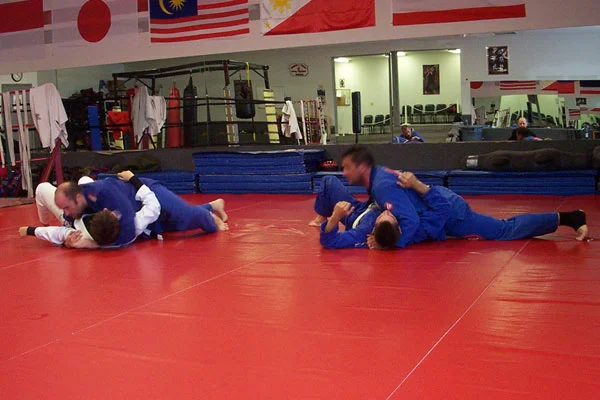 Rising Phoenix Martial Arts Academy facility image