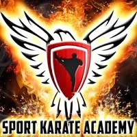 Sport Karate Academy Evansville academy logo