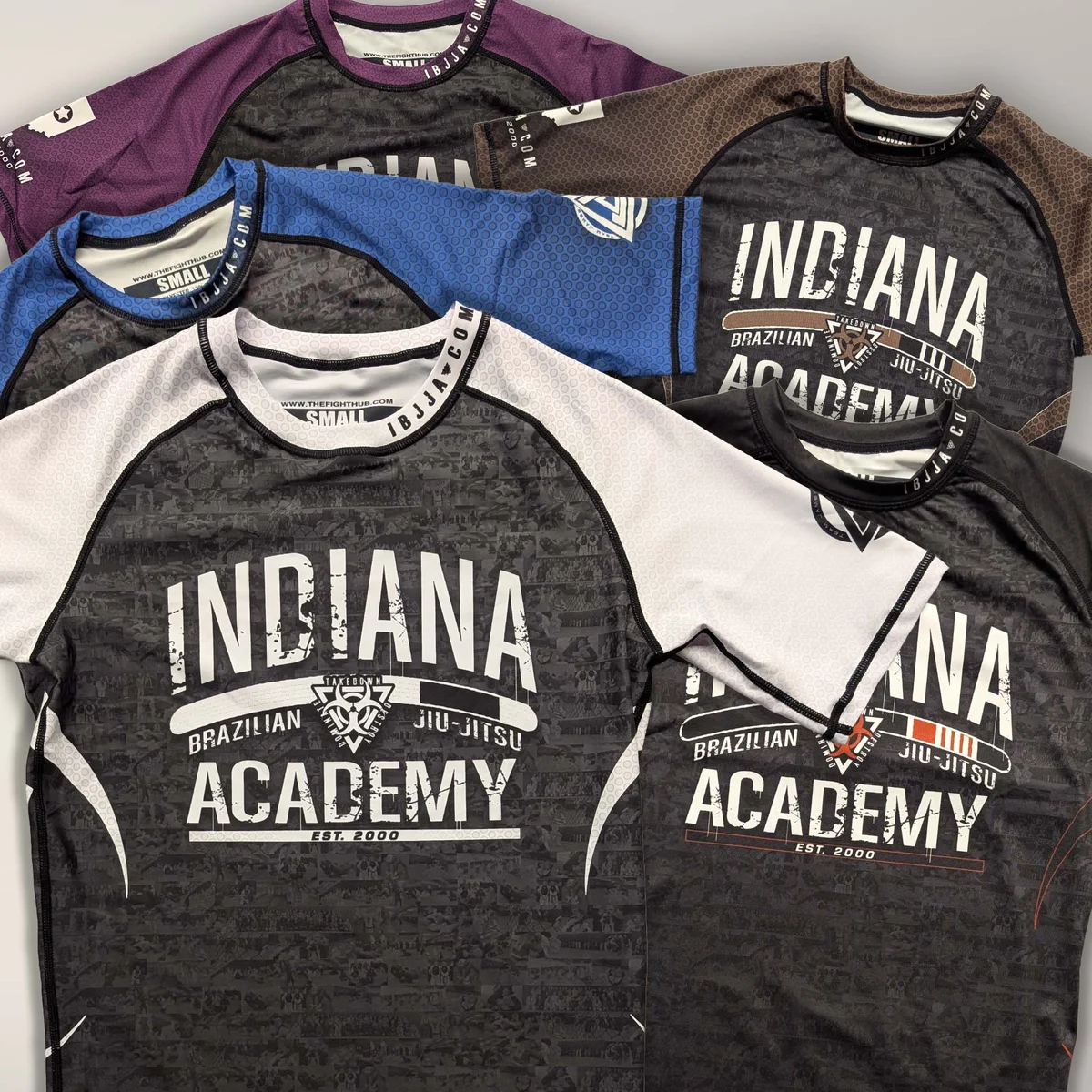 Indiana Brazilian Jiu Jitsu Academy facility image